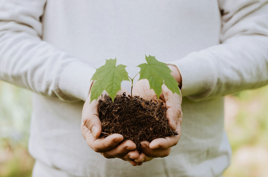 sustainable living
